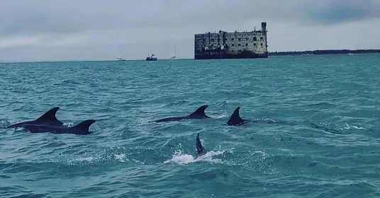 mise à l’eau bateau Oléron